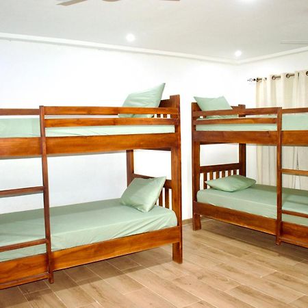 Tree House Hostel 타말레 외부 사진