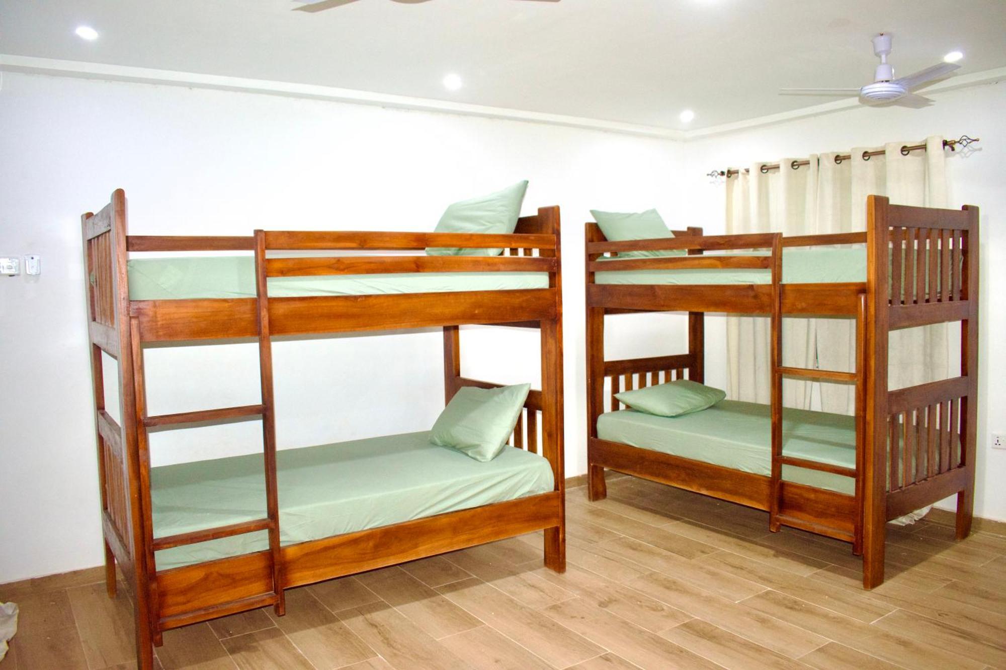 Tree House Hostel 타말레 외부 사진